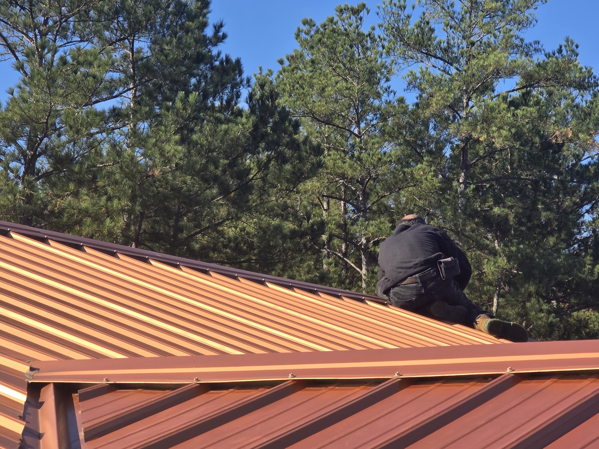 Metal roof detail